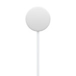 Apple Watch Magnetic Fast Charger to USB-C Cable - Image 3